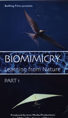 Biomimicry: Learning from Nature cover image