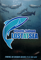 Atlantic Salmon: Lost at Sea    cover image