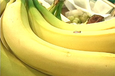 The Sad Story of the Banana (Dangers of Pesticide Abuse) cover image