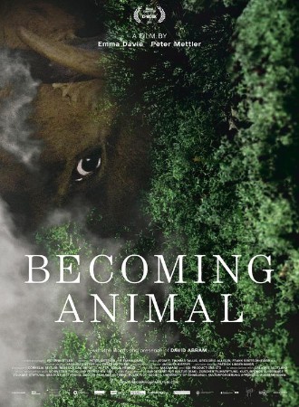 Becoming Animal  cover image
