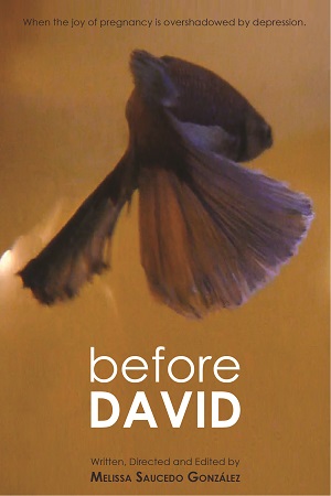 Before David cover image
