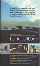 Being Caribou cover image