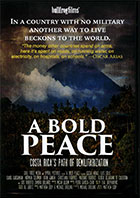 A Bold Peace     cover image