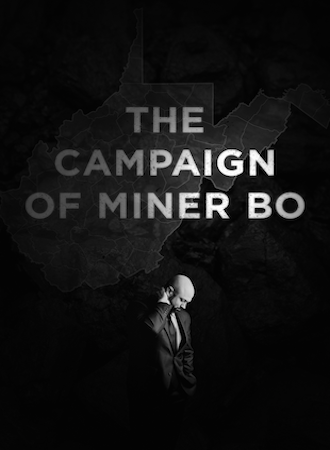 The Campaign of Miner Bo  cover image