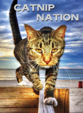 Catnip Nation  cover image