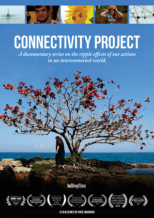 Connectivity Project  cover image