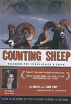 Counting Sheep: Restoring the Sierra Nevada Bighorn cover image