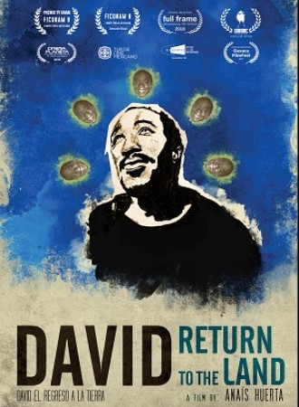 David: The Return to Land  cover image