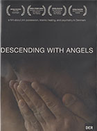 Descending with Angels    cover image