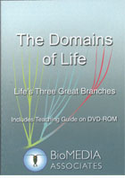 The Domains of Life:  Life's Three Great Branches cover image