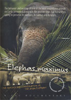 Elephas Maximus cover image