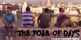 The Foam of Days  cover image