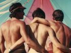 Gay Sex in the 70s cover image