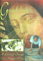 Guadalupe:  A Living Image cover image