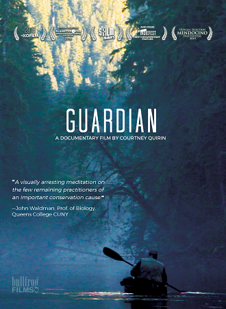 Guardian cover image