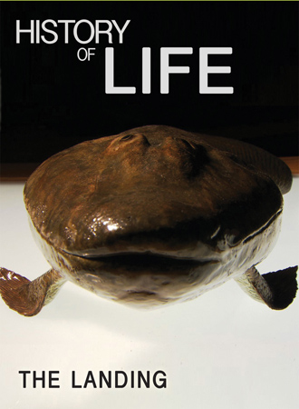 History of Life.  The Landing cover image