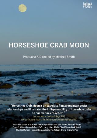 Horseshoe Crab Moon cover image