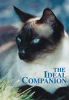 The Ideal Companion....The DVD Guide to Cat Breeds cover image