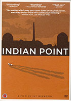 Indian Point    cover image