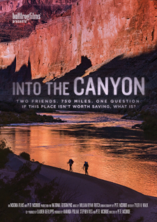 Into the Canyon  cover image