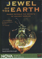 Jewel of the Earth cover image