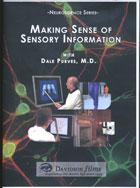 Making Sense of Sensory Information cover image