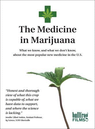 The Medicine in Marijuana cover image