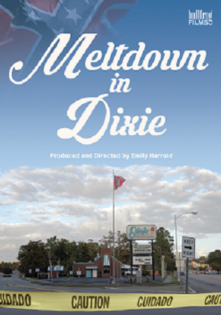 Meltdown in Dixie cover image