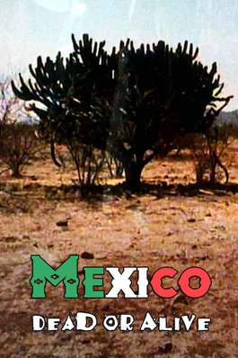 Mexico: Dead or Alive cover image
