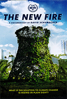 The New Fire cover image