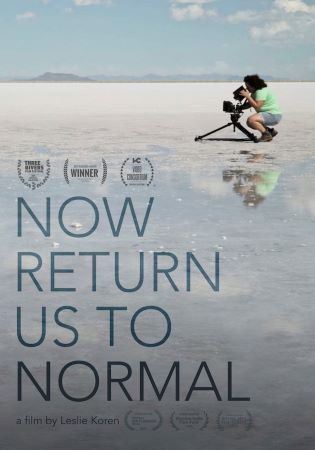 Now Return Us to Normal cover image