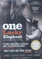 One Lucky Elephant cover image