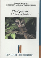 The Opossum: A Prehistoric Survivor cover image