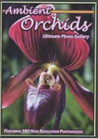 Ambient Orchids: Ultimate Photo Gallery cover image