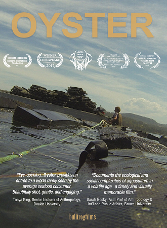 Oyster cover image