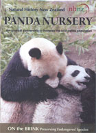 Panda Nursery cover image