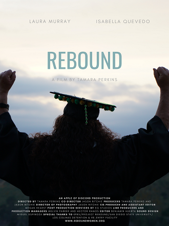 Rebound cover image