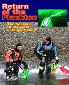 Return of the Plankton: The Seasons Underwater in Puget Sound cover image