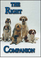 The Right Companion: A Guide to Choosing the Perfect Dog cover image