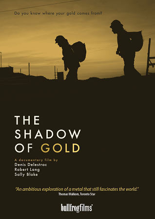 The Shadow of Gold  cover image