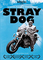 Stray Dog cover image