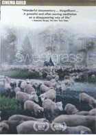 Sweetgrass cover image