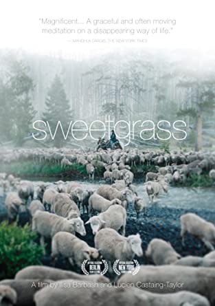 Sweetgrass  cover image