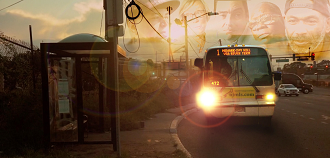 The #1 Bus Chronicles cover image