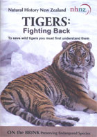 Tigers: Fighting Back cover image