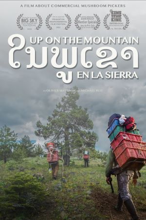 Up on the Mountain cover image