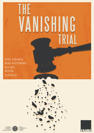 The Vanishing Trial  cover image