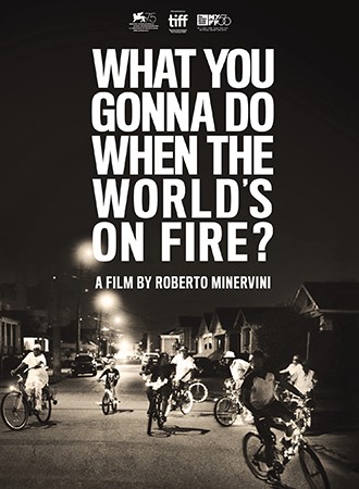 What You Gonna Do When the World's on Fire?  cover image