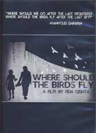 Where Should The Birds Fly    cover image