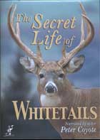 The Secret Life of Whitetails cover image